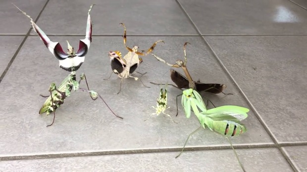 Image with missing alt attribute found on matometanews.com