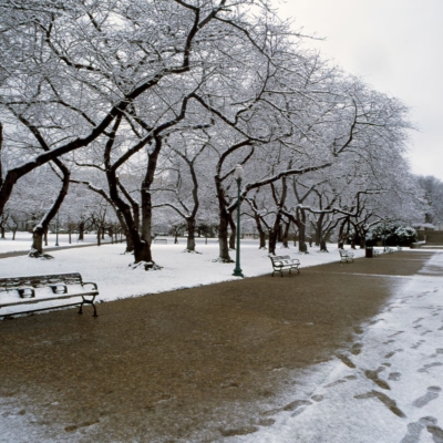 Image with missing alt attribute found on livingnewdeal.org