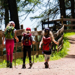 Najczęstsze problemy prawne w sporcie