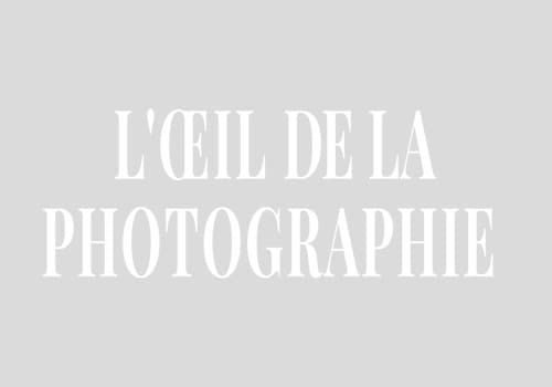 Alexis Cottin &ndash; Chais/Wine Cellars