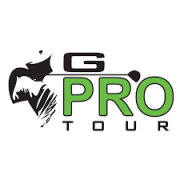 Image with missing alt attribute found on bluegolf.org