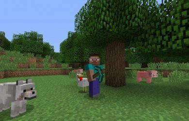 Image with missing alt attribute found on losst.ru