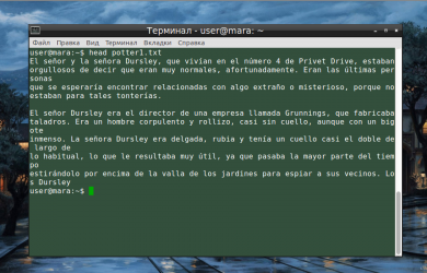 Image with missing alt attribute found on losst.ru