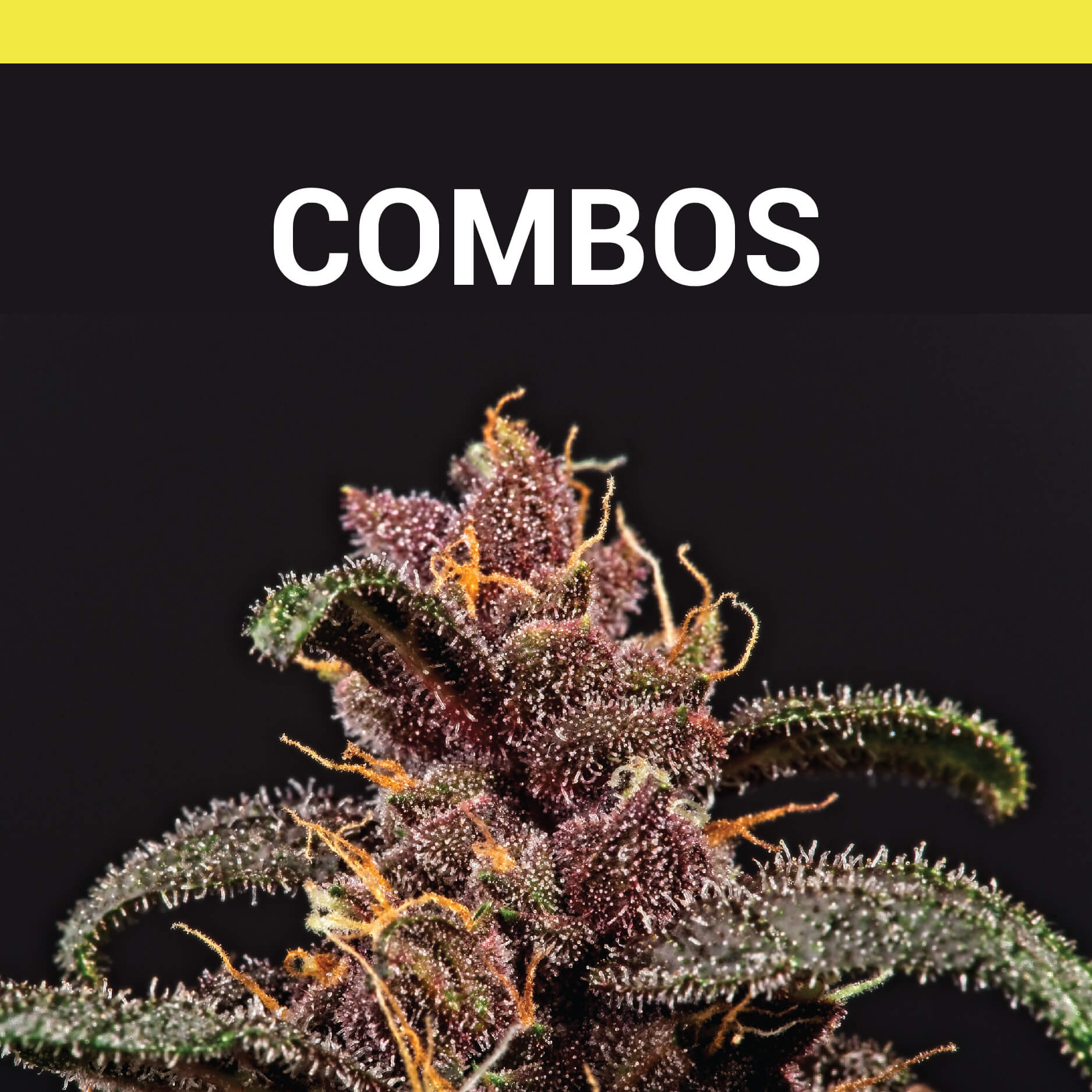 Image with missing alt attribute found on lowpricebud.co