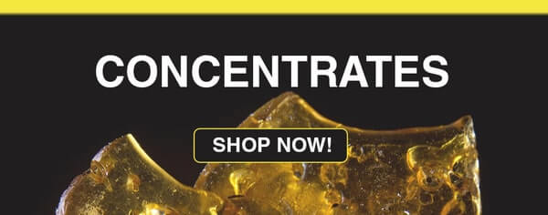 Image with missing alt attribute found on lowpricebud.co