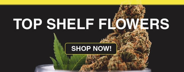 Image with missing alt attribute found on lowpricebud.co