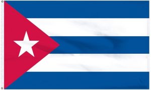 Image with missing alt attribute found on lucumionline.com