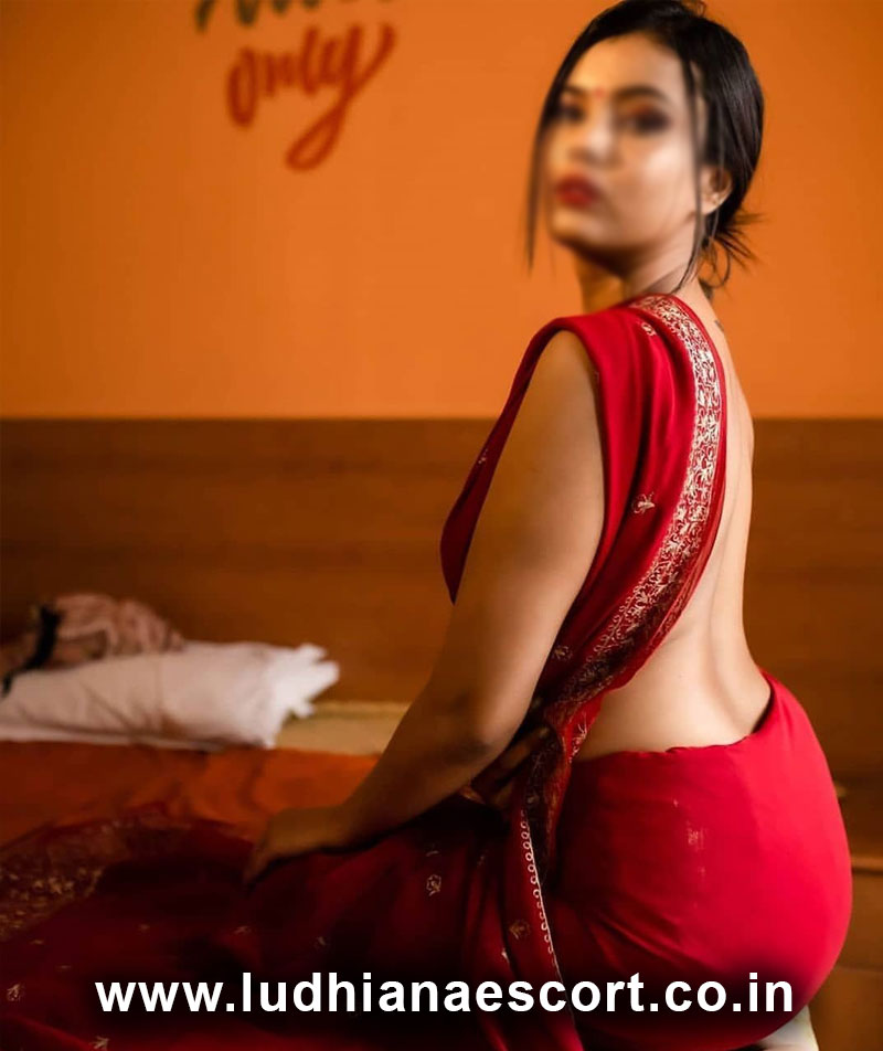 Image with missing alt attribute found on ludhianaescort.co.in