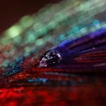 Image with missing alt attribute found on luminous-landscape.com