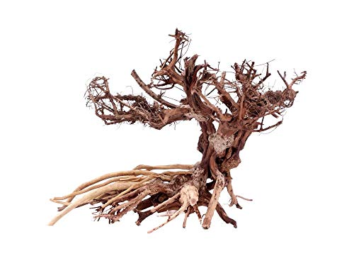 Aquarium Wurzel Bonsai Exclusiv Grö&szlig;e L 40x30cm Nr.4 Holz Deko Aquascaping Bonsaibaum Dekoration Landschaft Moos Echtholz Natur