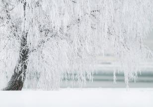 Повече от 30 000 домакинства във Франция са без ток