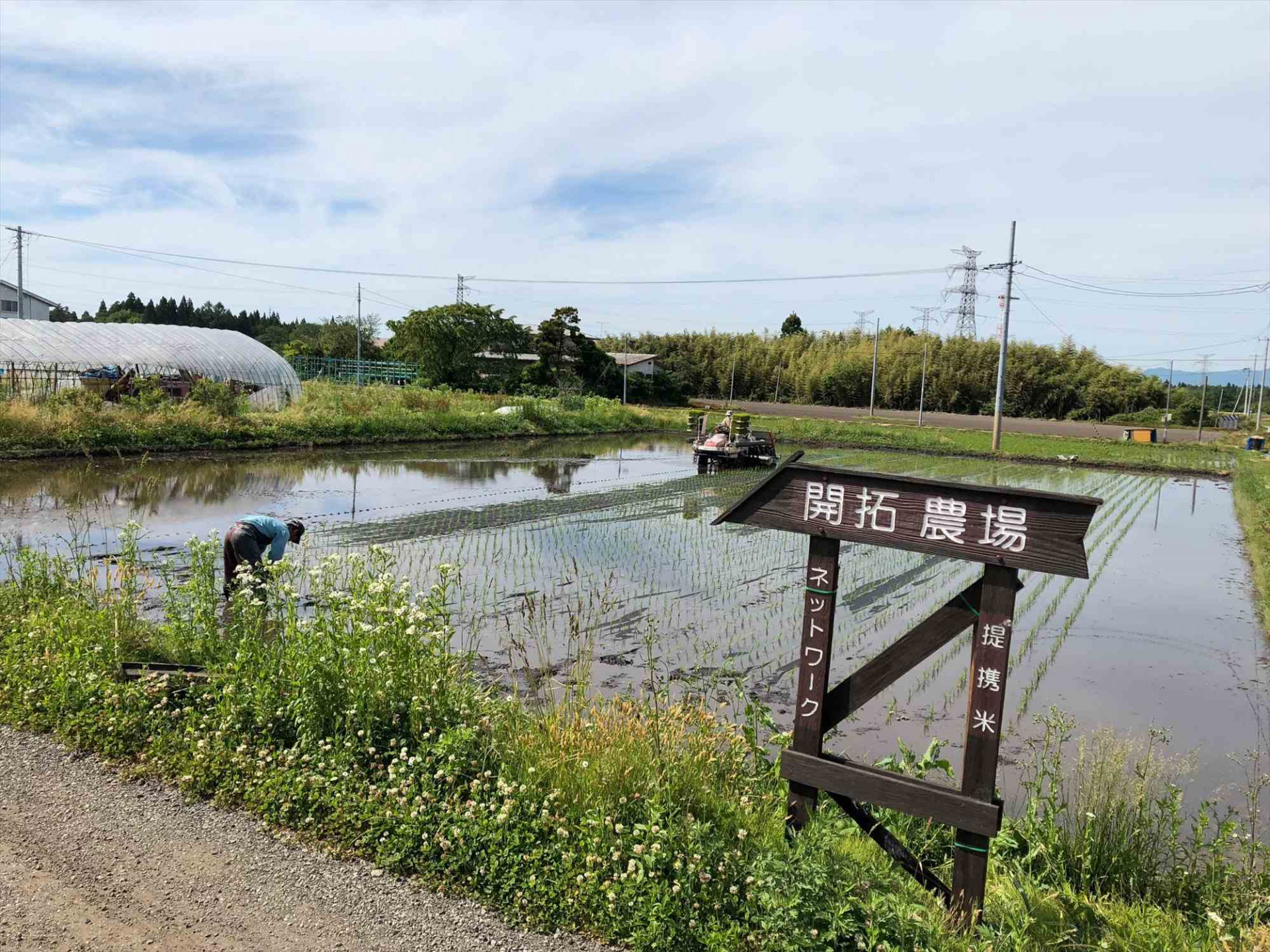 厳選した素材のこだわりについてご紹介