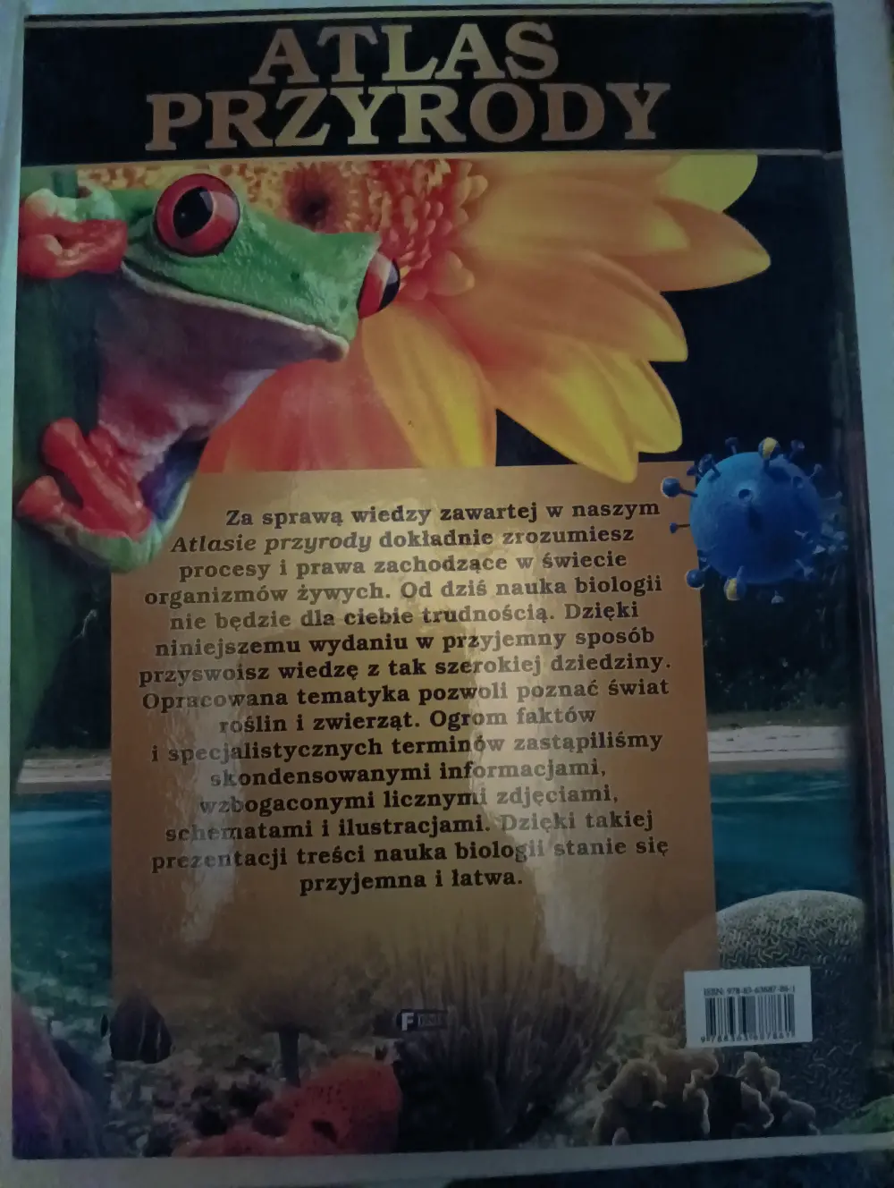 Książki edukacyjne dla dzieci.