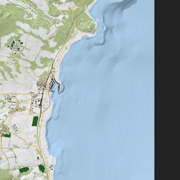 Image with missing alt attribute found on izurvive.com