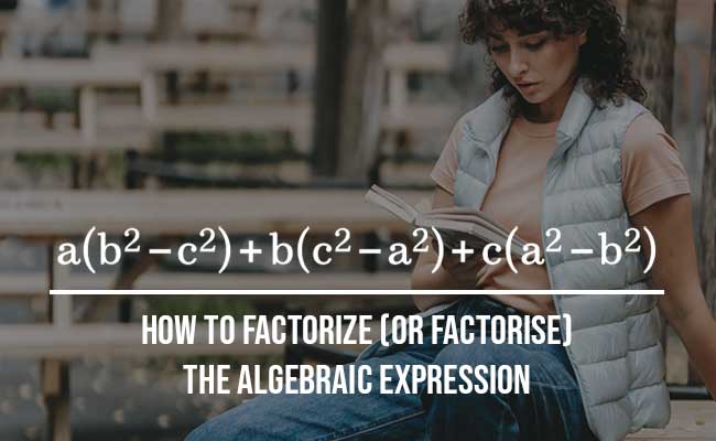 factorize the polynomial
