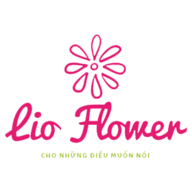 Image with missing alt attribute found on mayaothundongphuc.com.vn