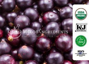 Image with missing alt attribute found on mclobingredients.com