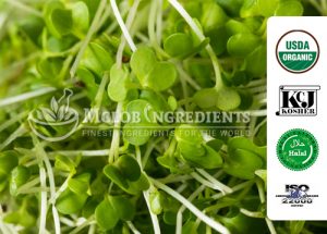 Image with missing alt attribute found on mclobingredients.com