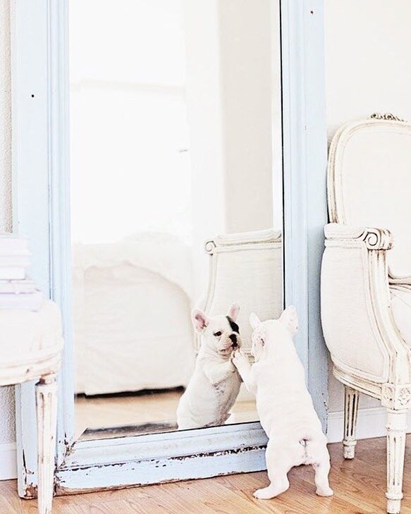 Image with missing alt attribute found on thenest.com