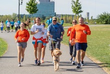 Image with missing alt attribute found on cancercare.org