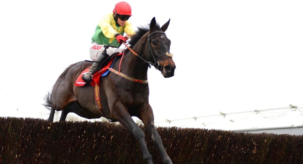 Image with missing alt attribute found on carlow-nationalist.ie