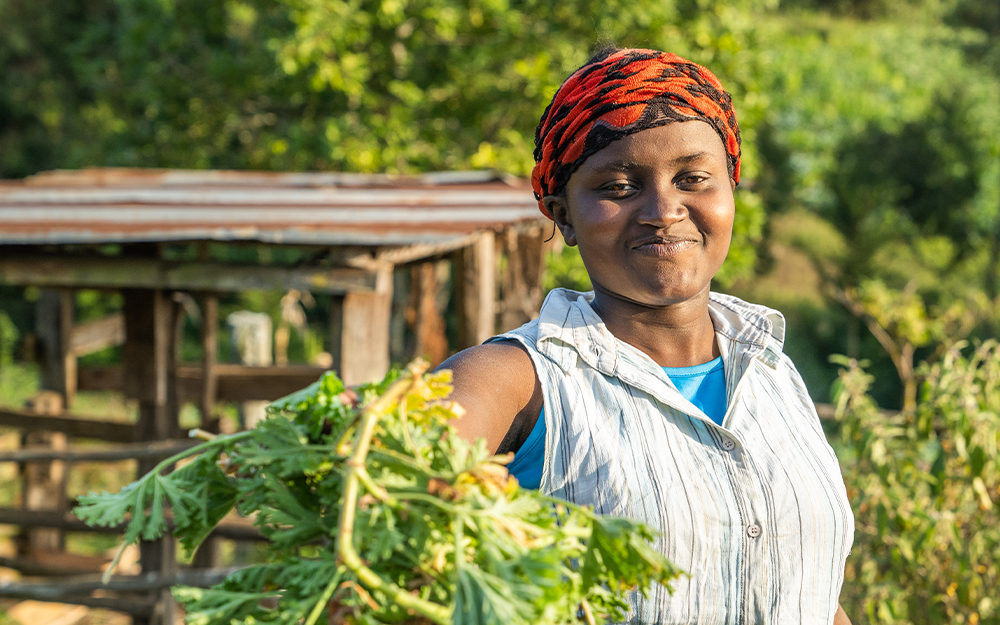 Image with missing alt attribute found on doterra.com