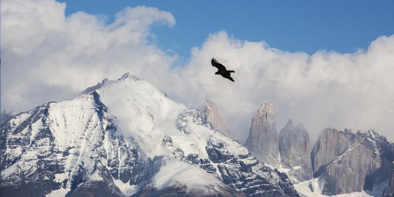 Image with missing alt attribute found on gadventures.com