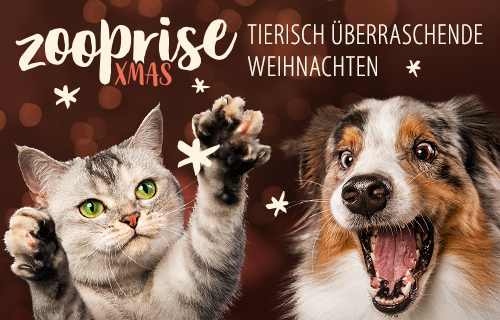 Image with missing alt attribute found on zooplus.de