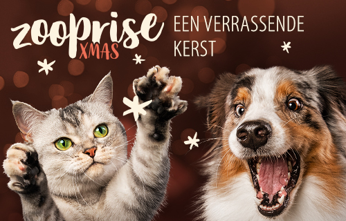 Image with missing alt attribute found on zooplus.nl