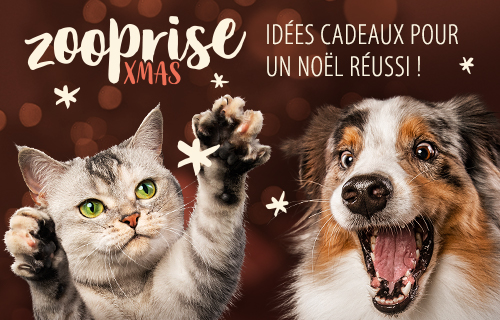 Image with missing alt attribute found on zooplus.fr