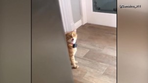 Image with missing alt attribute found on nbcdfw.com