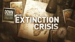 Image with missing alt attribute found on nbcsandiego.com