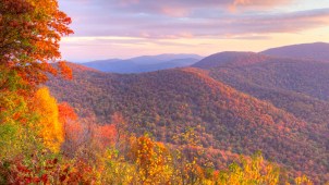 Image with missing alt attribute found on nbcwashington.com