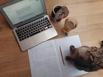 Image with missing alt attribute found on scholieren.net