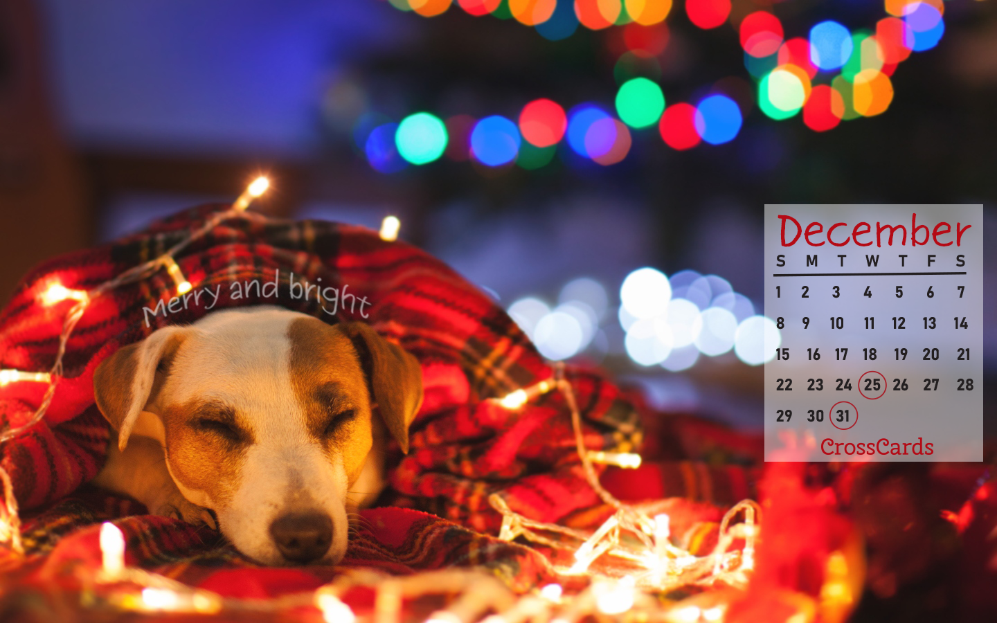 December 2019 - Christmas Lights ecard, online card