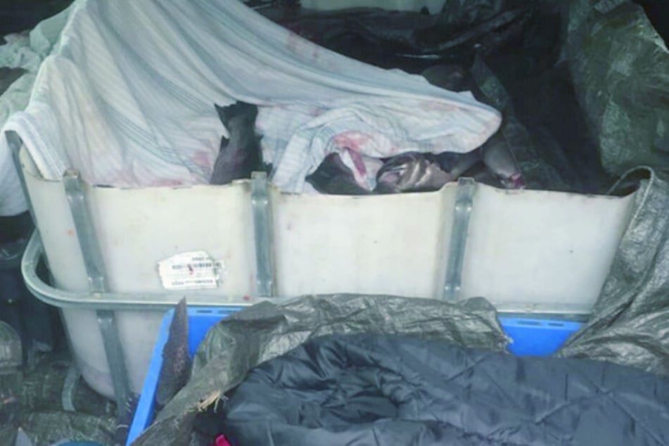 Image with missing alt attribute found on tag24.de