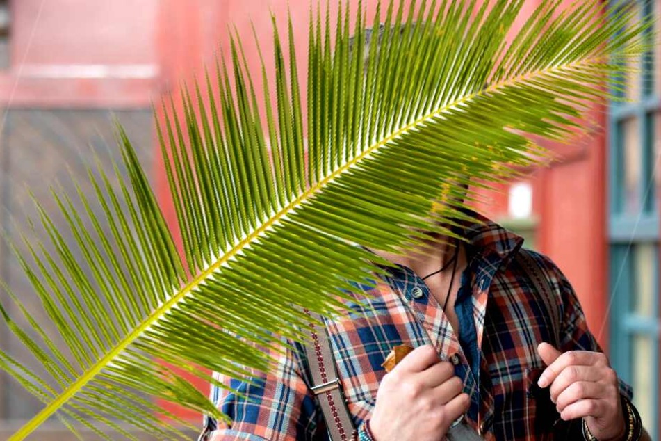 Image with missing alt attribute found on tag24.de