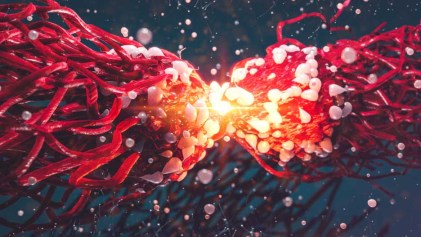 Image with missing alt attribute found on telemundochicago.com