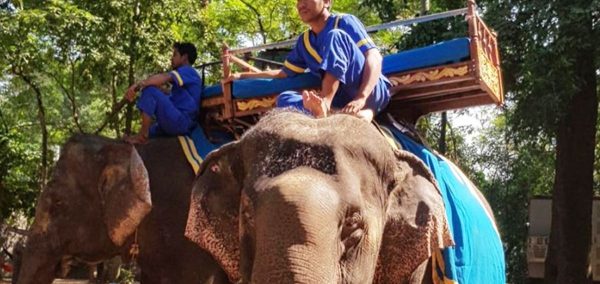 Image with missing alt attribute found on thetab.com