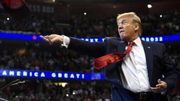 Image with missing alt attribute found on faz.net