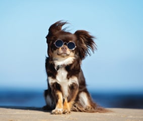 Image with missing alt attribute found on media7.com