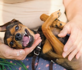 Image with missing alt attribute found on media7.com