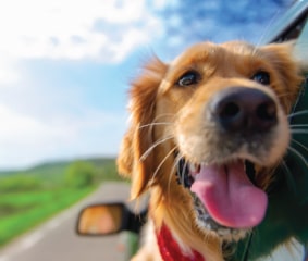 Image with missing alt attribute found on media7.com