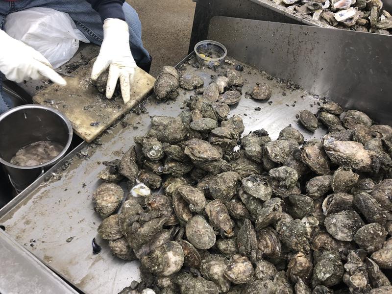 Image with missing alt attribute found on wwno.org