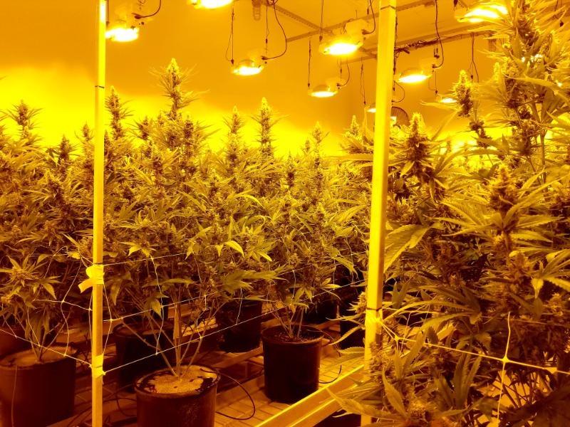 Image with missing alt attribute found on keranews.org