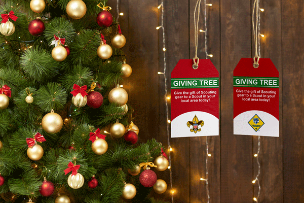 Image with missing alt attribute found on scoutshop.org