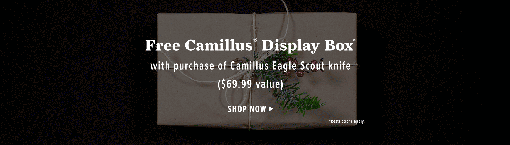 Image with missing alt attribute found on scoutshop.org