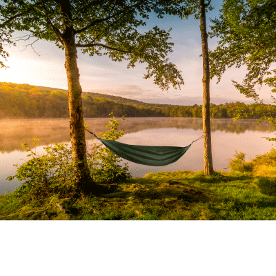 Image with missing alt attribute found on scoutshop.org