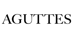 Image with missing alt attribute found on aguttes.com