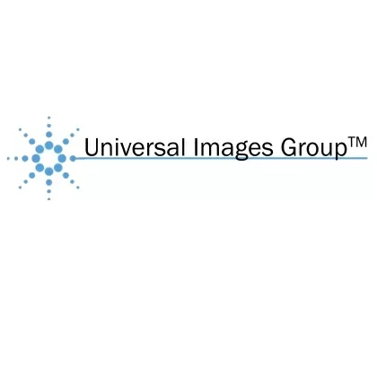 Universal Images Group